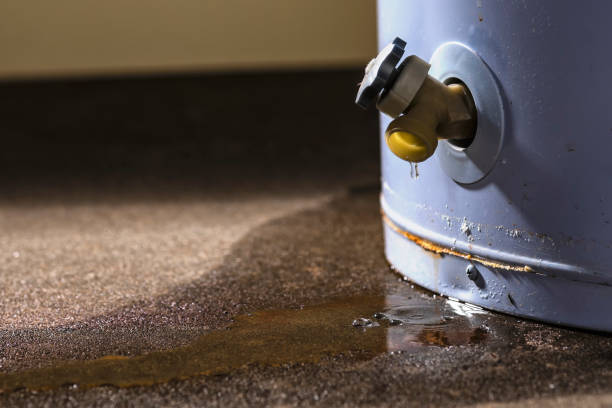 Best Flood damage cleanup  in Sultana, CA