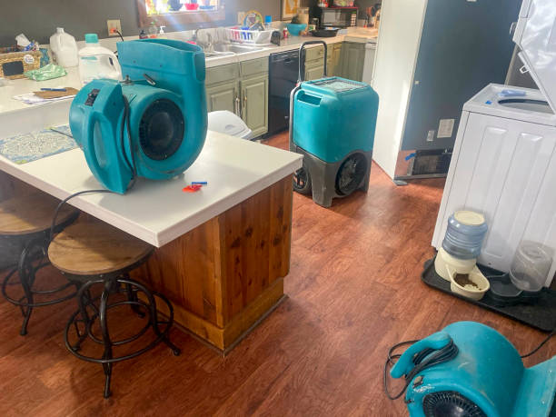 Best Mold removal after water damage  in Sultana, CA