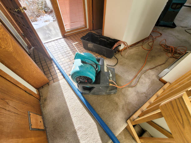 Best Water damage restoration near me  in Sultana, CA