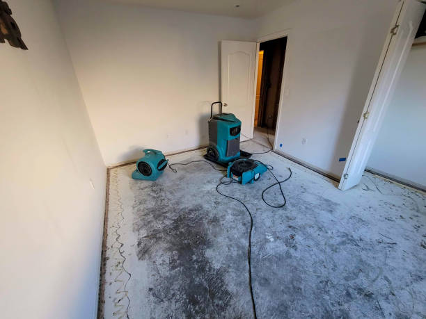 Best Fire Damage Restoration  in Sultana, CA