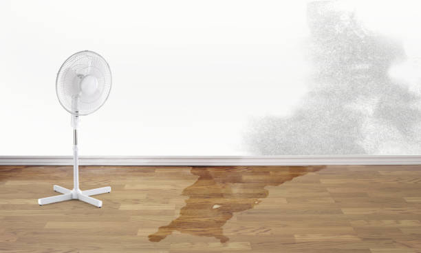 Best Basement water damage restoration  in Sultana, CA