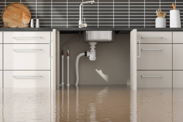 Best Mold removal after water damage  in Sultana, CA