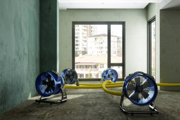 Best Sewage cleanup and water damage restoration  in Sultana, CA