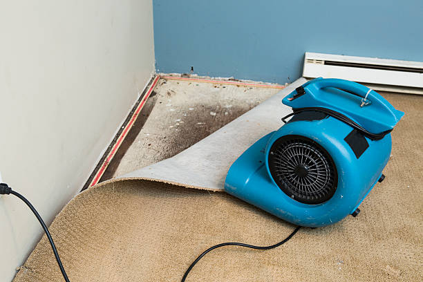 Best Flooded house restoration  in Sultana, CA